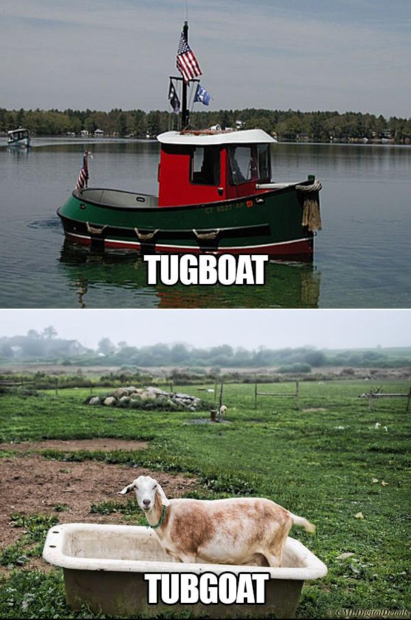 funny motorboat meme