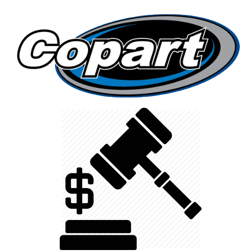 boat salvage auction search